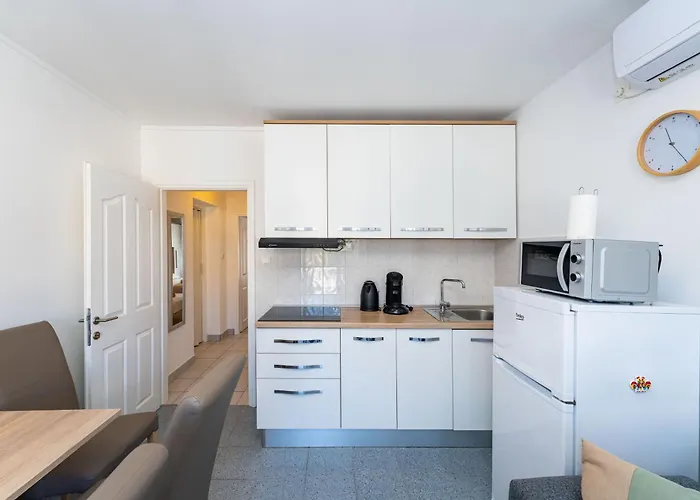 公寓 Vesna 扎达尔